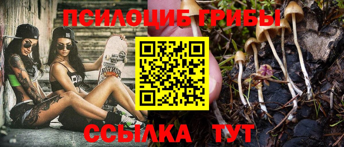 Губкинский  Галлюциногенные грибы прущие грибы  Вход с VPN 